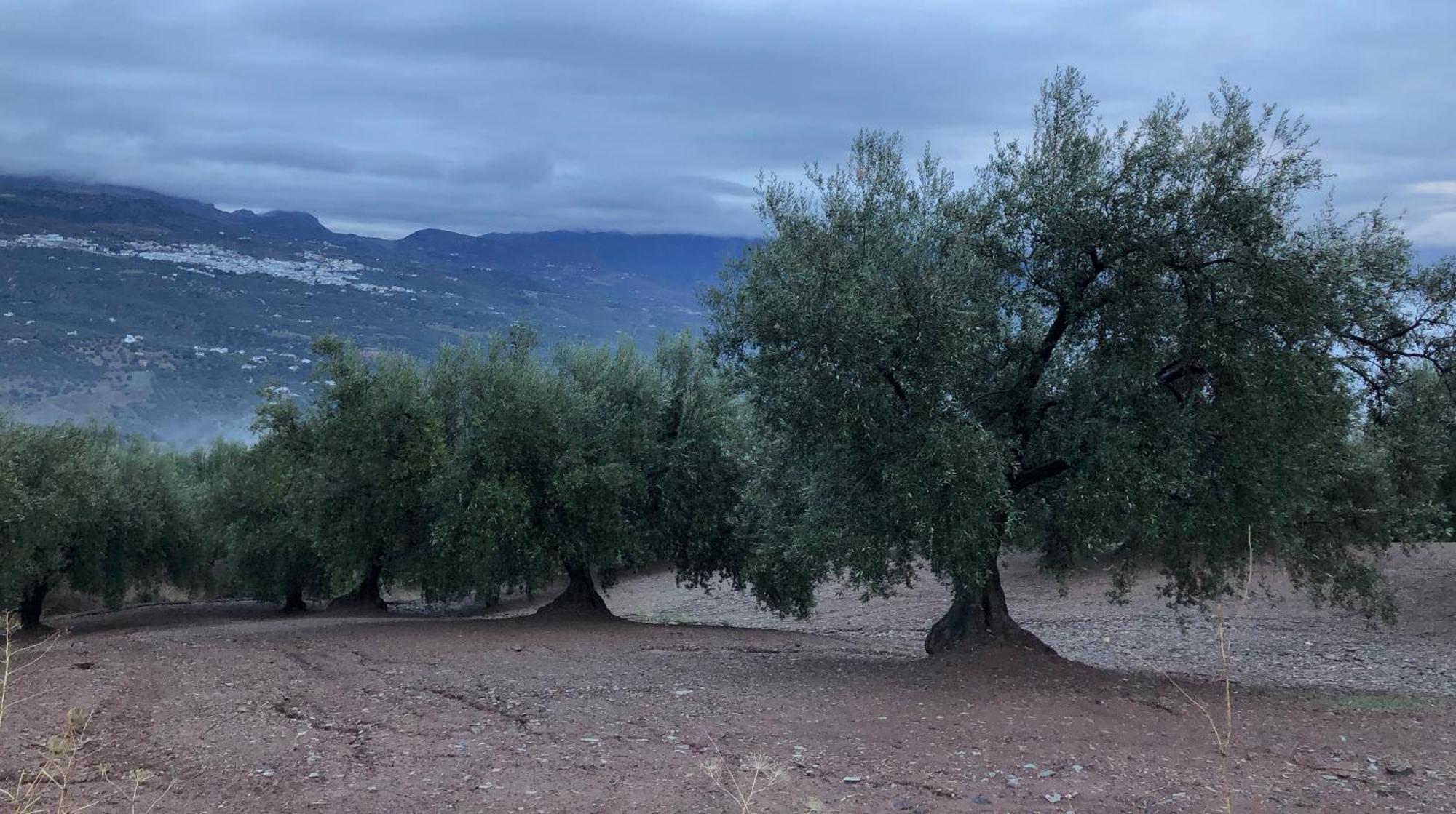 Villa La Fuente Mondrón Esterno foto